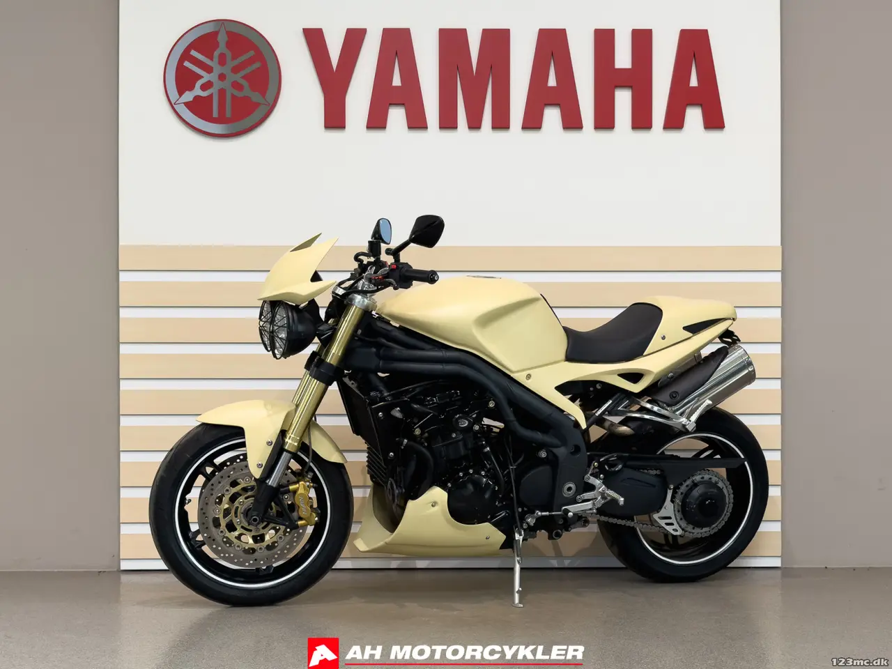 Billede 2 - Triumph Speed Triple