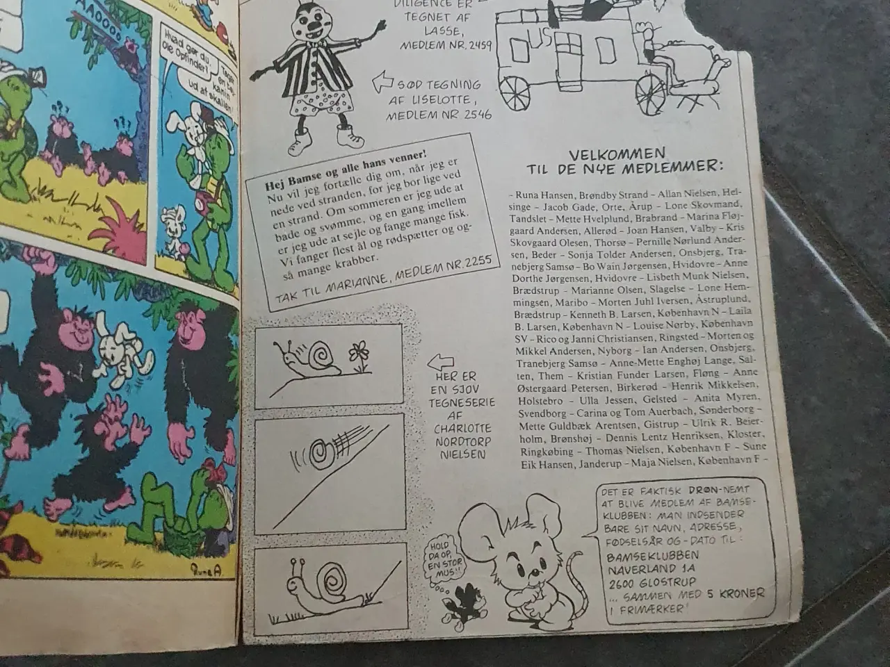 Billede 4 - Bamse tegneserie