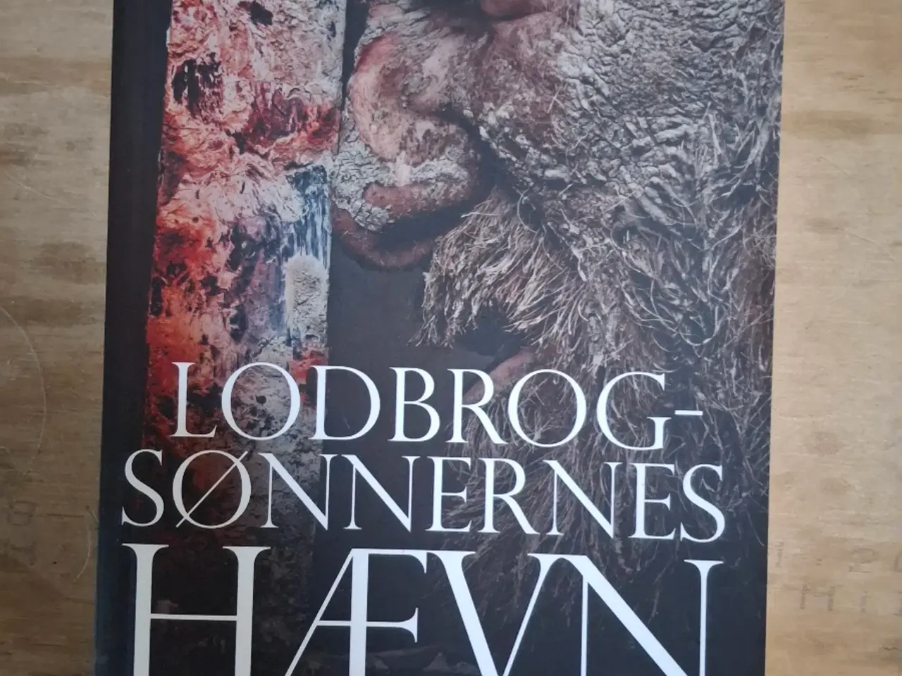 Billede 1 - Lodbrogsønnernes  hævn