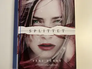 Splittet. Del 2. Af Slettet Teri Terry