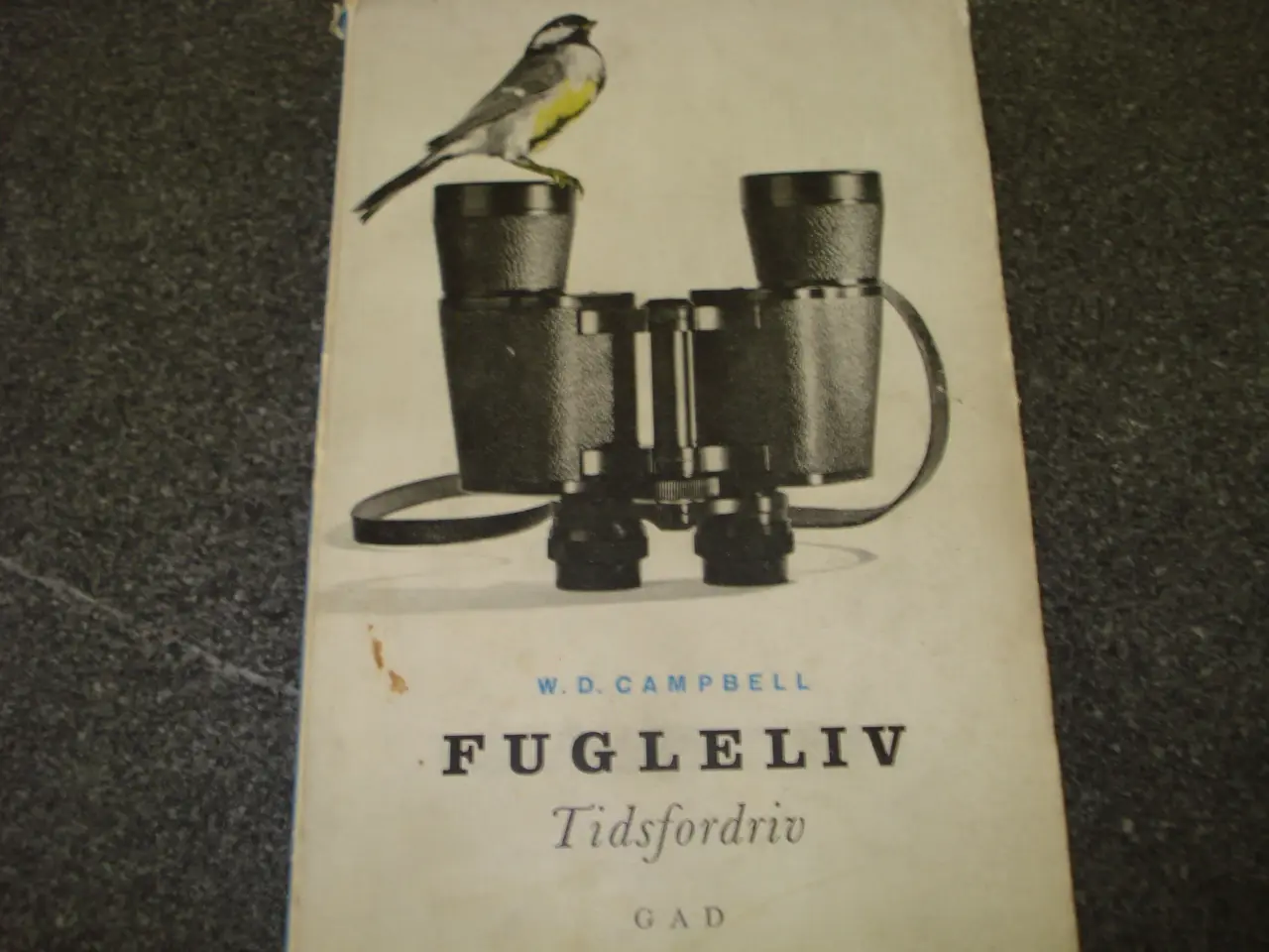 Billede 1 - Fugleliv