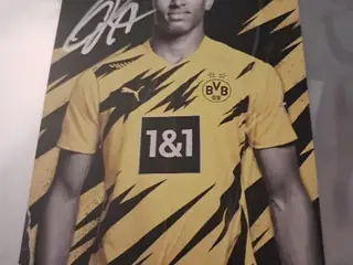 Bellingham og mbappe autograf
