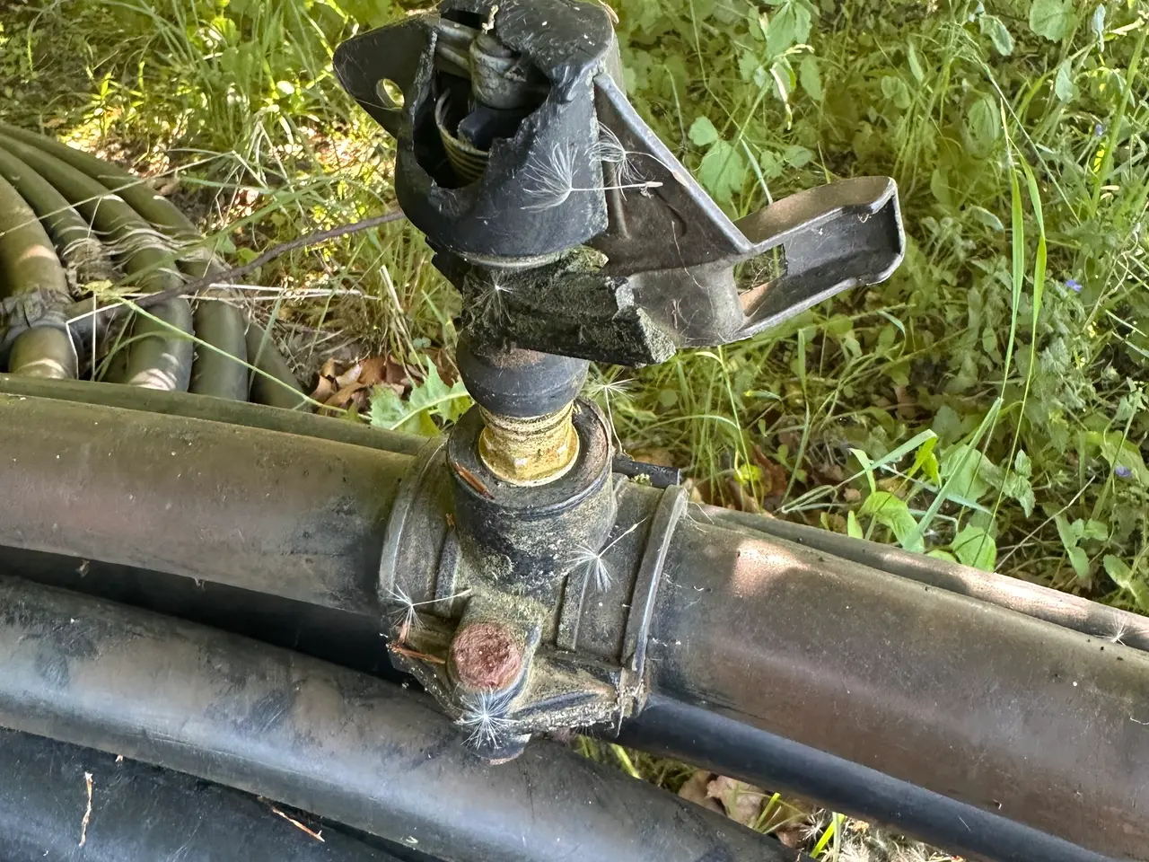 Billede 1 - Vandingsanlæg, slanger m. Sprinkler
