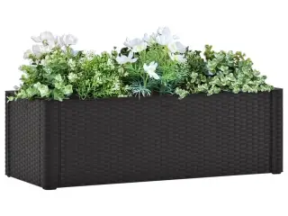 Højbed med automatisk vandingssystem 100x43x33 cm antracitgrå