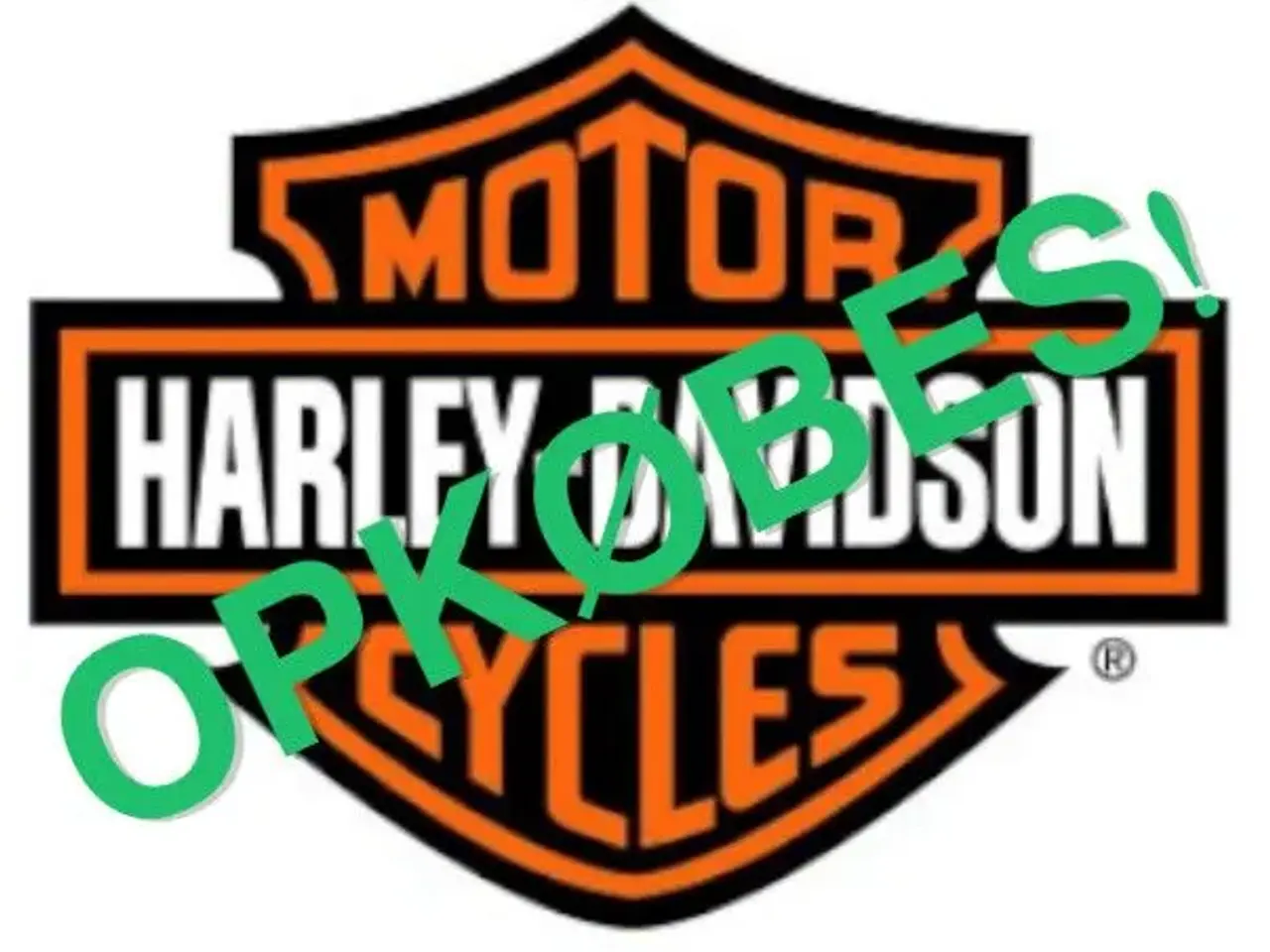 Billede 6 - OPKØBES! -Harley Davidson XL 1200 Sportster