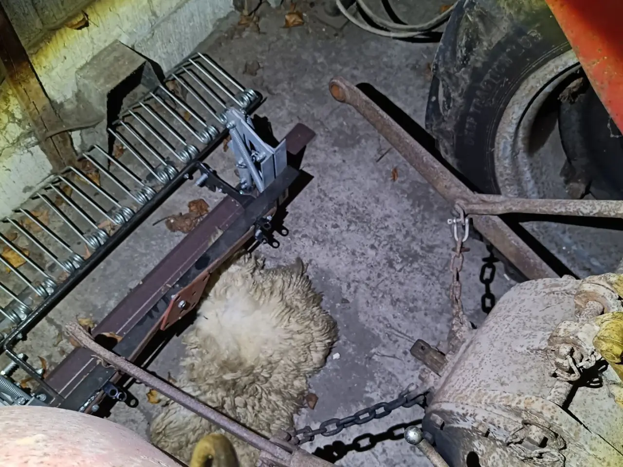 Billede 4 - Massey Ferguson 35 benzin