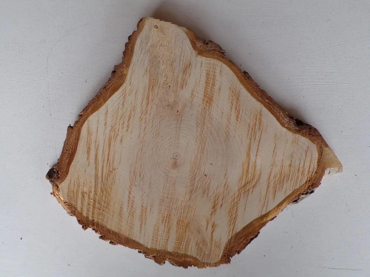 Billede 2 - Thuja Træskive med bark - 32x28,5