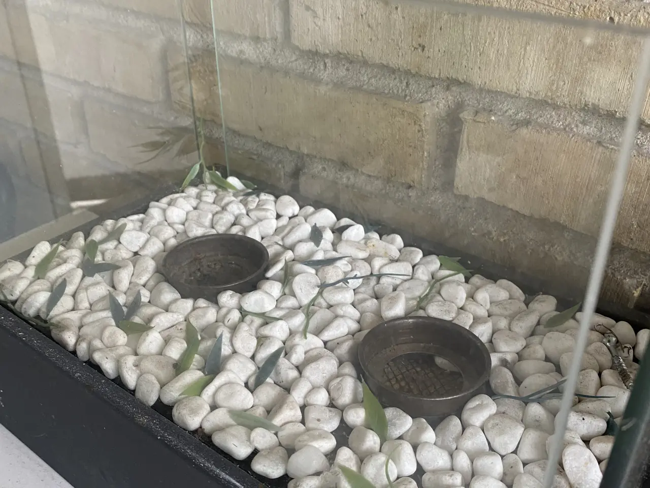 Billede 4 - Glas terrarium lysestage