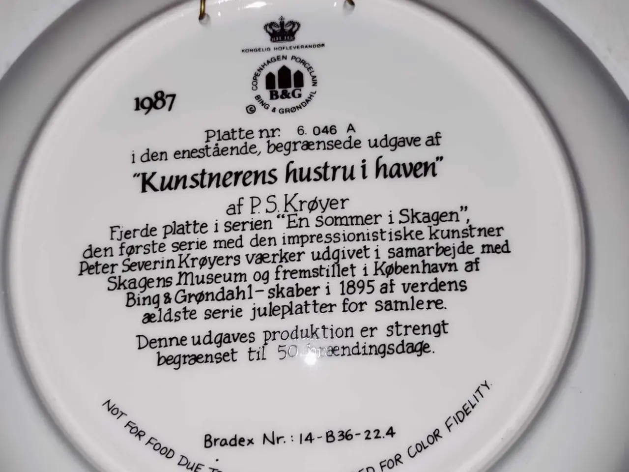 Billede 3 - skagen motiver p.s krøyer