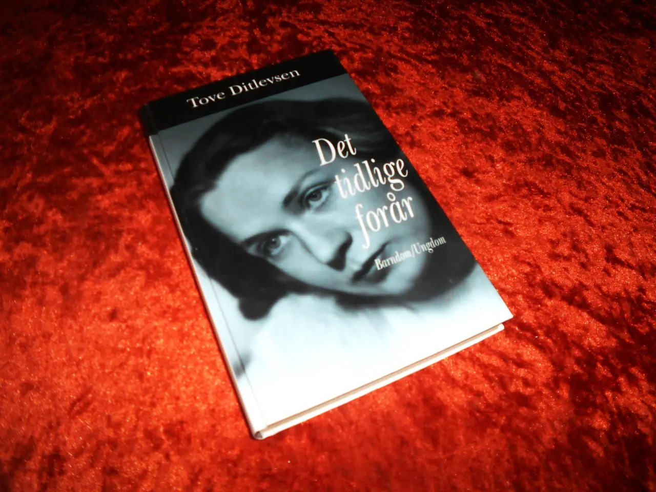 Billede 6 - Tove Ditlevsen,