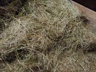 wraphø