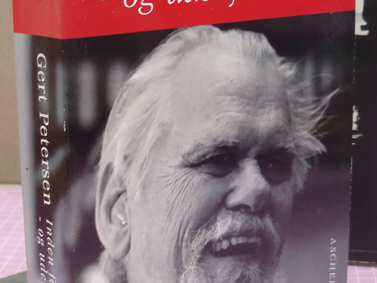 Billede 1 - Gert Petersen, inden for systemet og udenfor