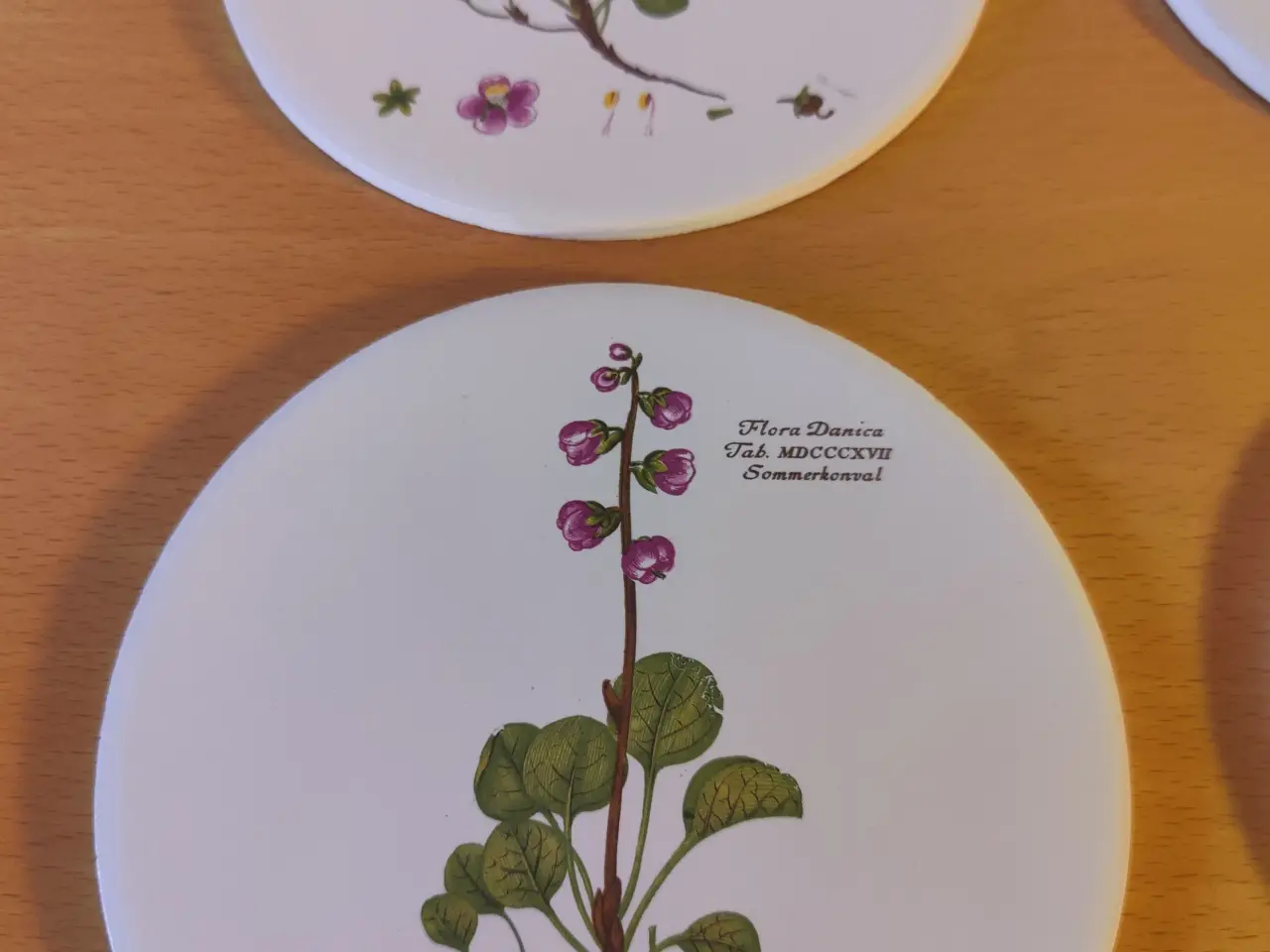 Billede 2 - Flora Danica sæt