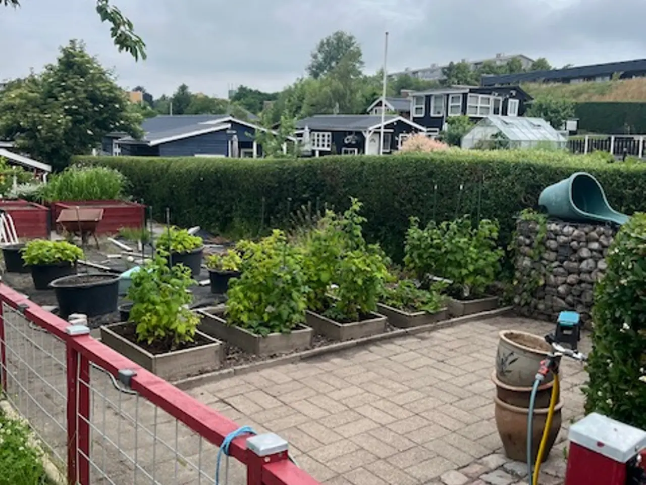 Billede 6 - havekoloni lod sælges i Nyborg