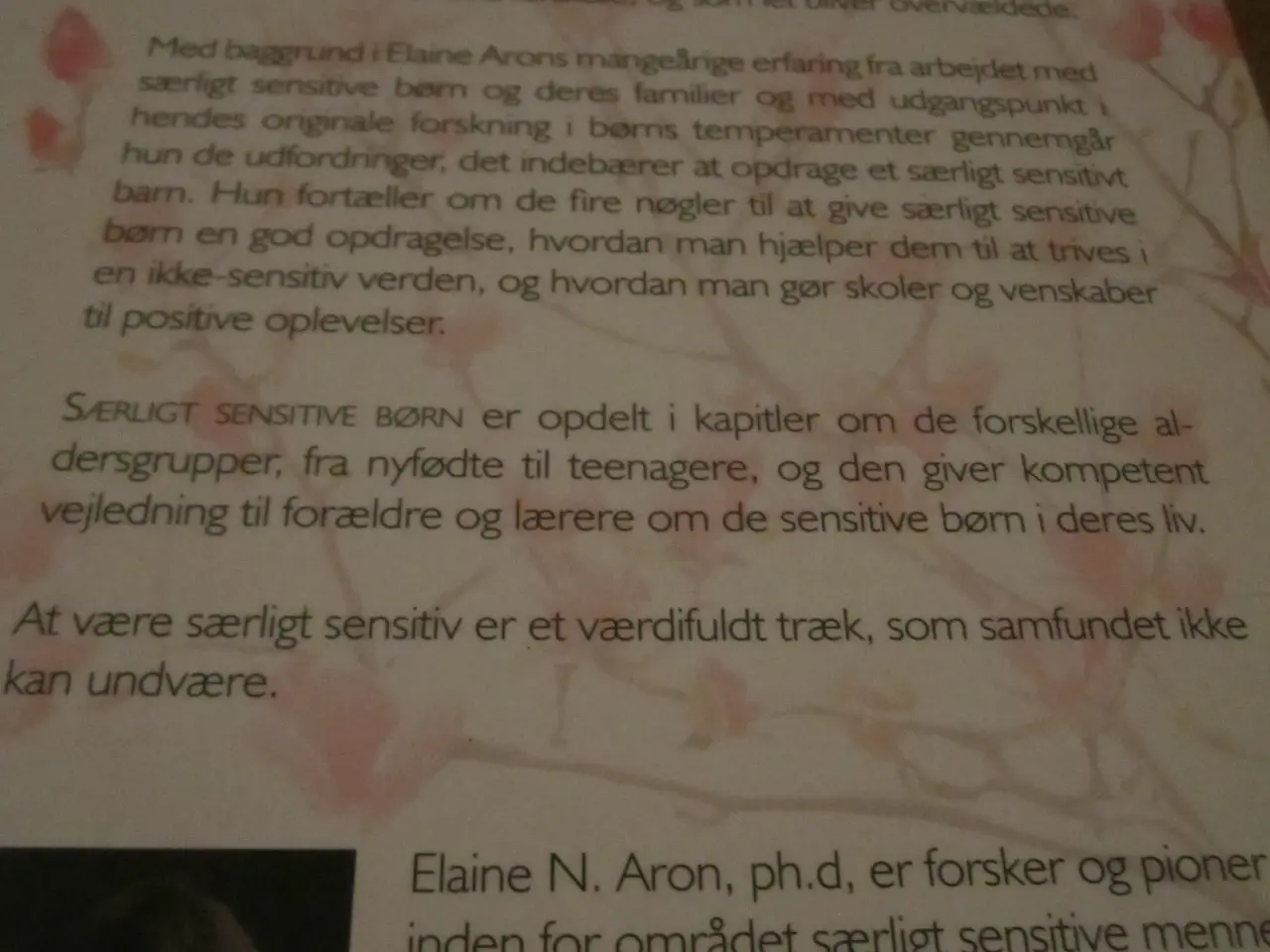 Billede 3 - SÆRLIGT SENSITIVE BØRN.