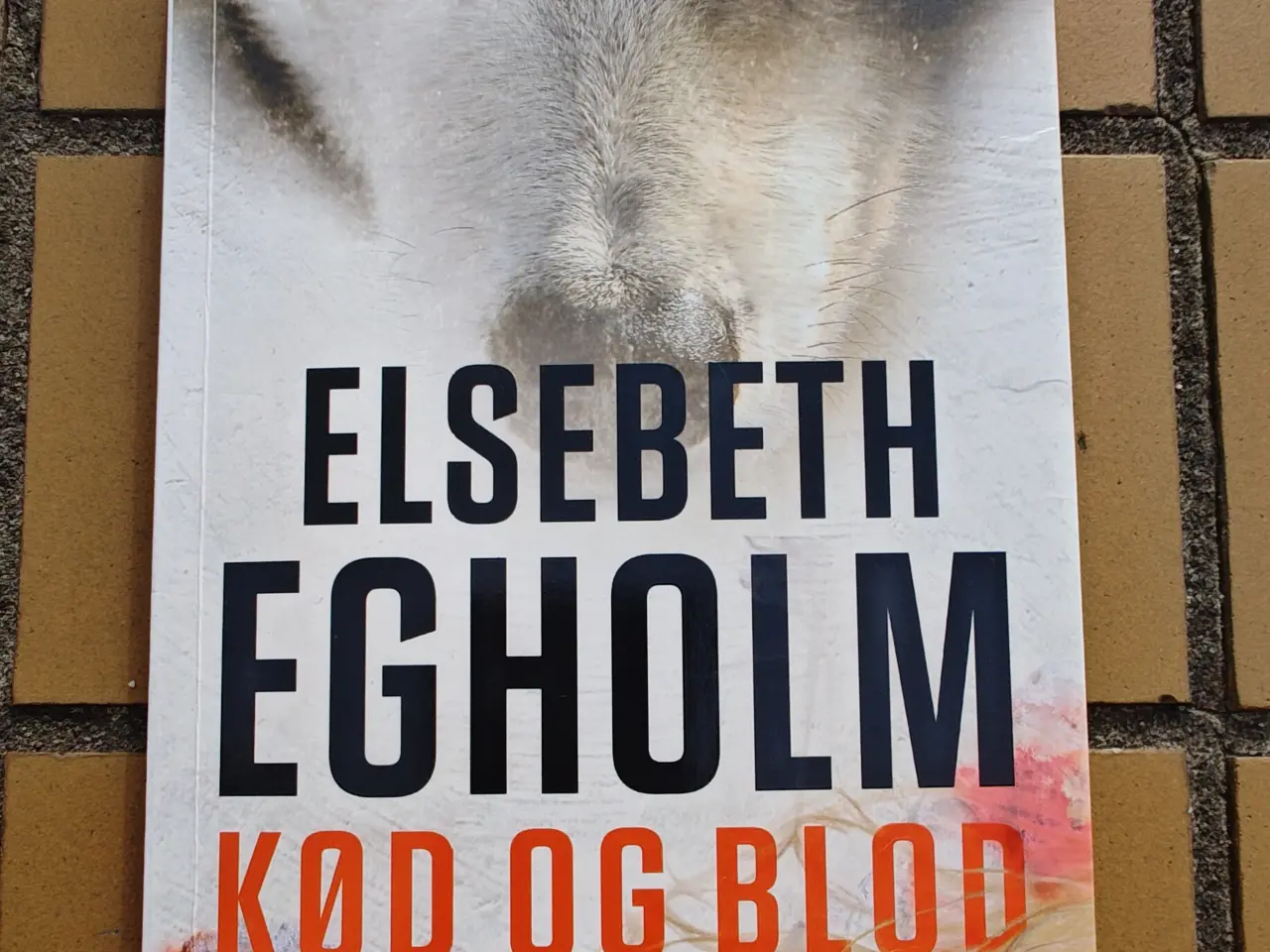Billede 1 - Kød og Blod BOG af Elsebeth Egholm