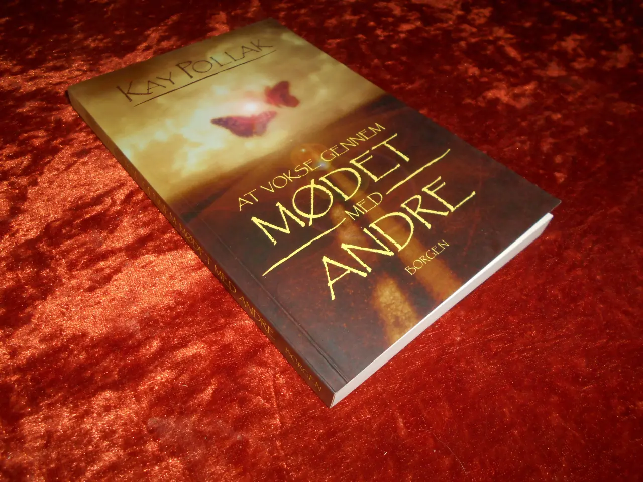 Billede 1 - At vokse gennem mødet med andre, Kay Pollak