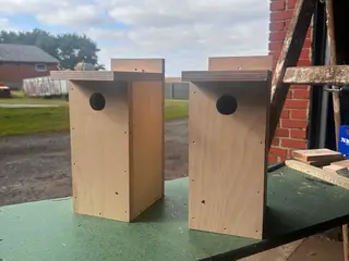 fuglekasser