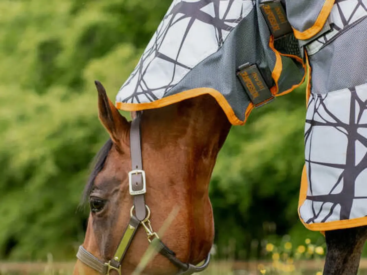 Billede 2 - Amigo 3 i 1 camofly insekt / regn str 145