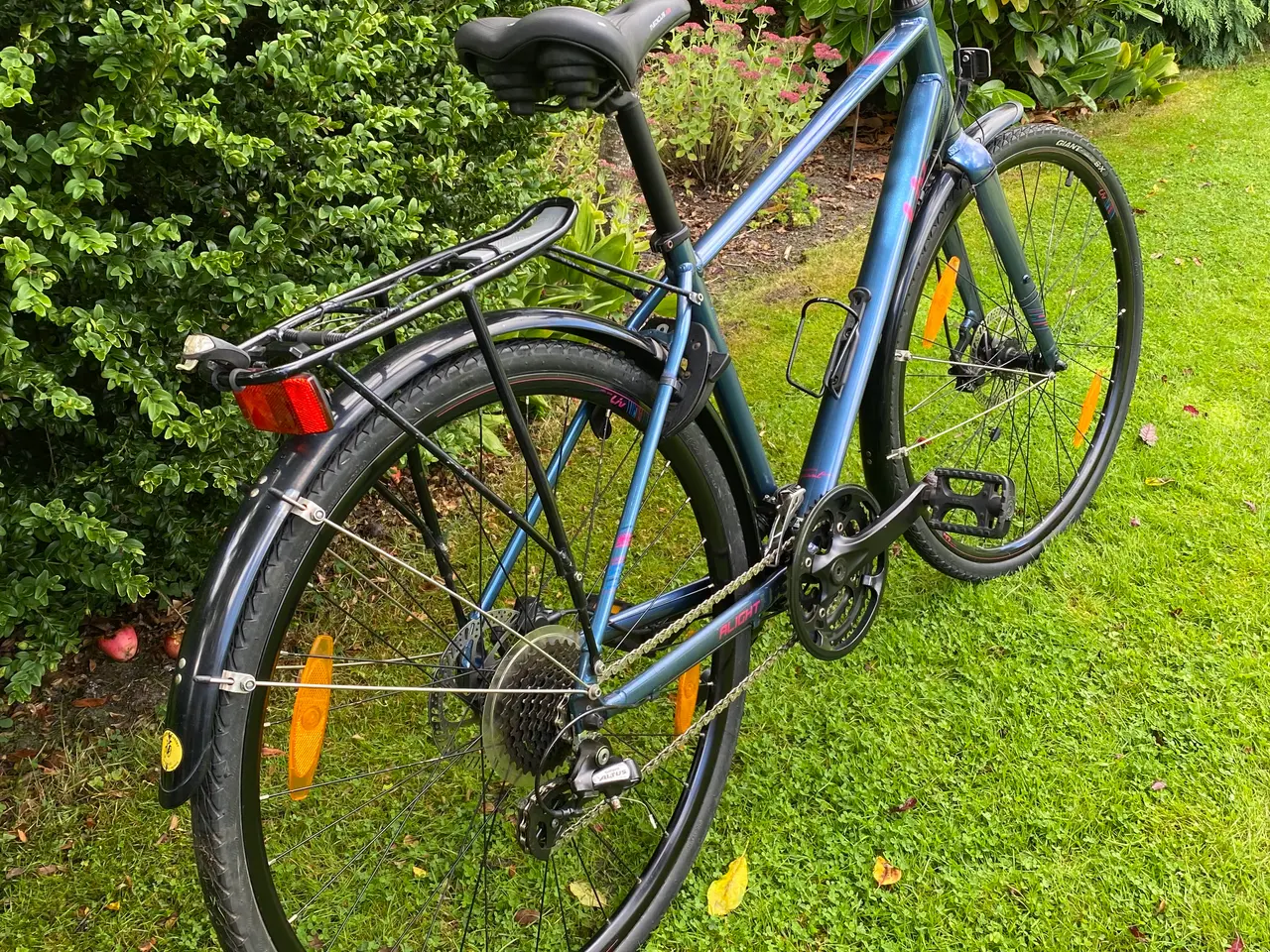 Billede 1 - Giant Damecykel
