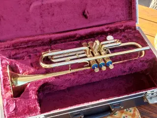 Amarti Kraslice model ATR 301