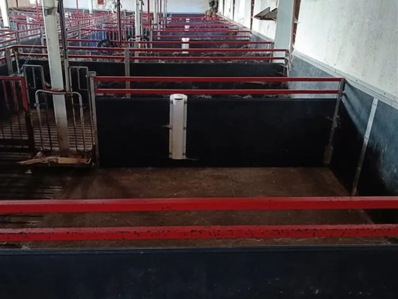 Billede 4 - - - - Inventar/stier plast/rustfri 27 stk.