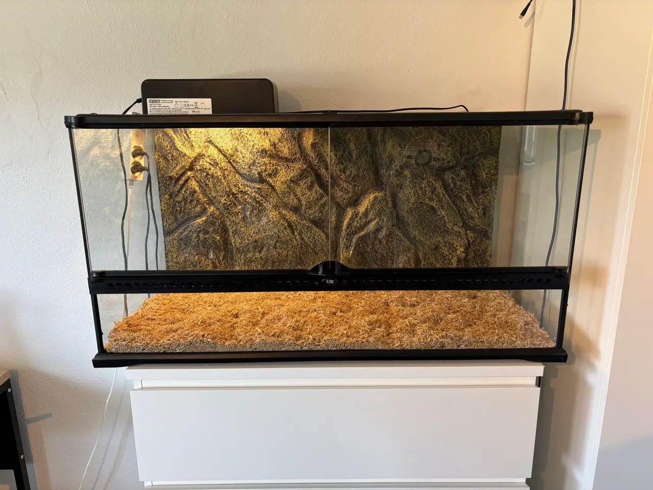 Billede 7 - Kongepython med terrarium 