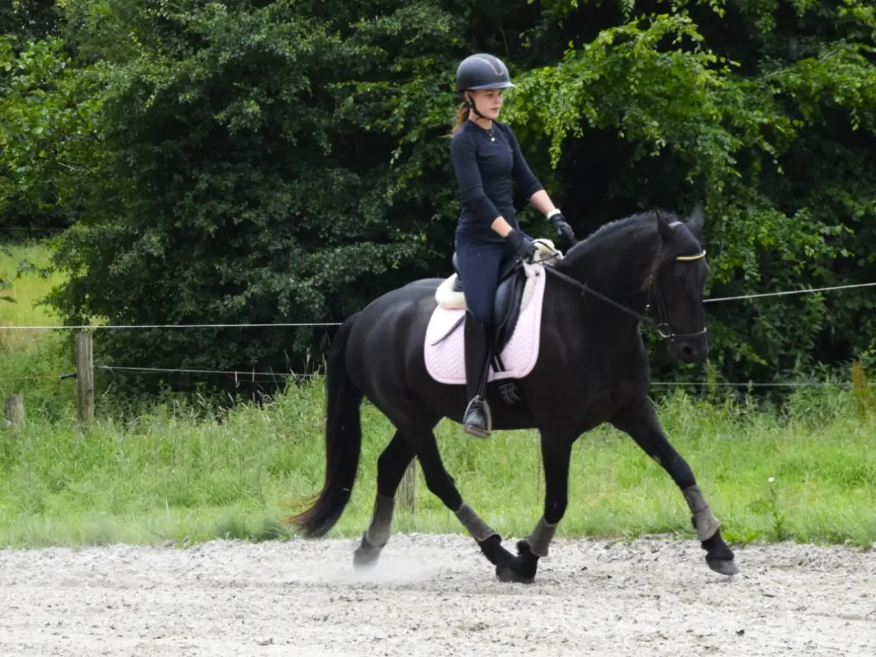 Billede 5 - Halv frieser halv pony