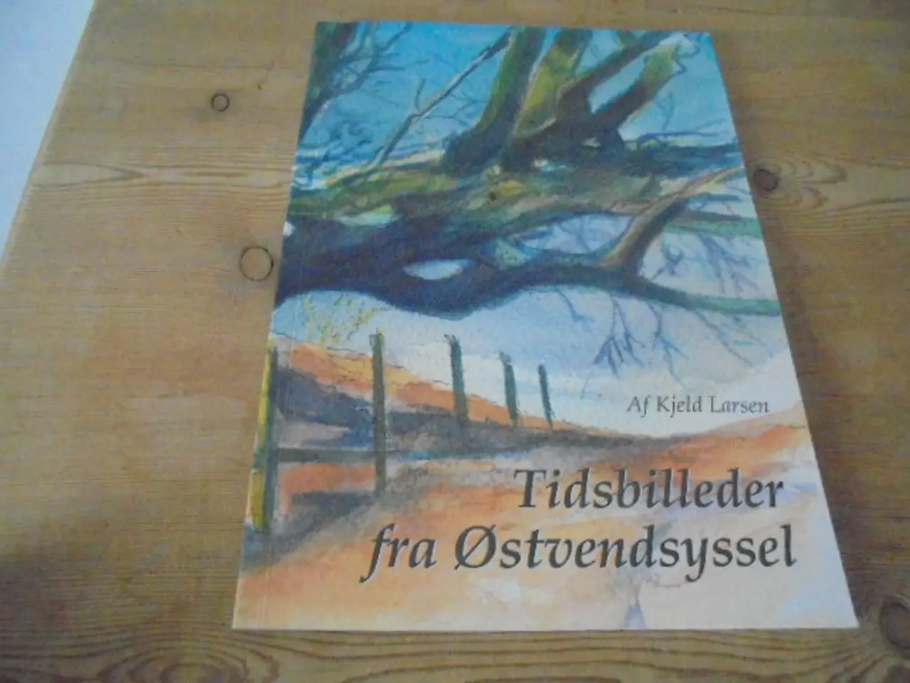 Billede 1 - Tidsbilleder fra Østvendsyssel – meget fin stand