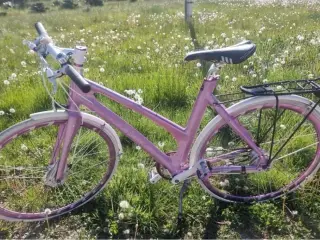 Fler forskellige Dame cykler Forskellige PRISER
