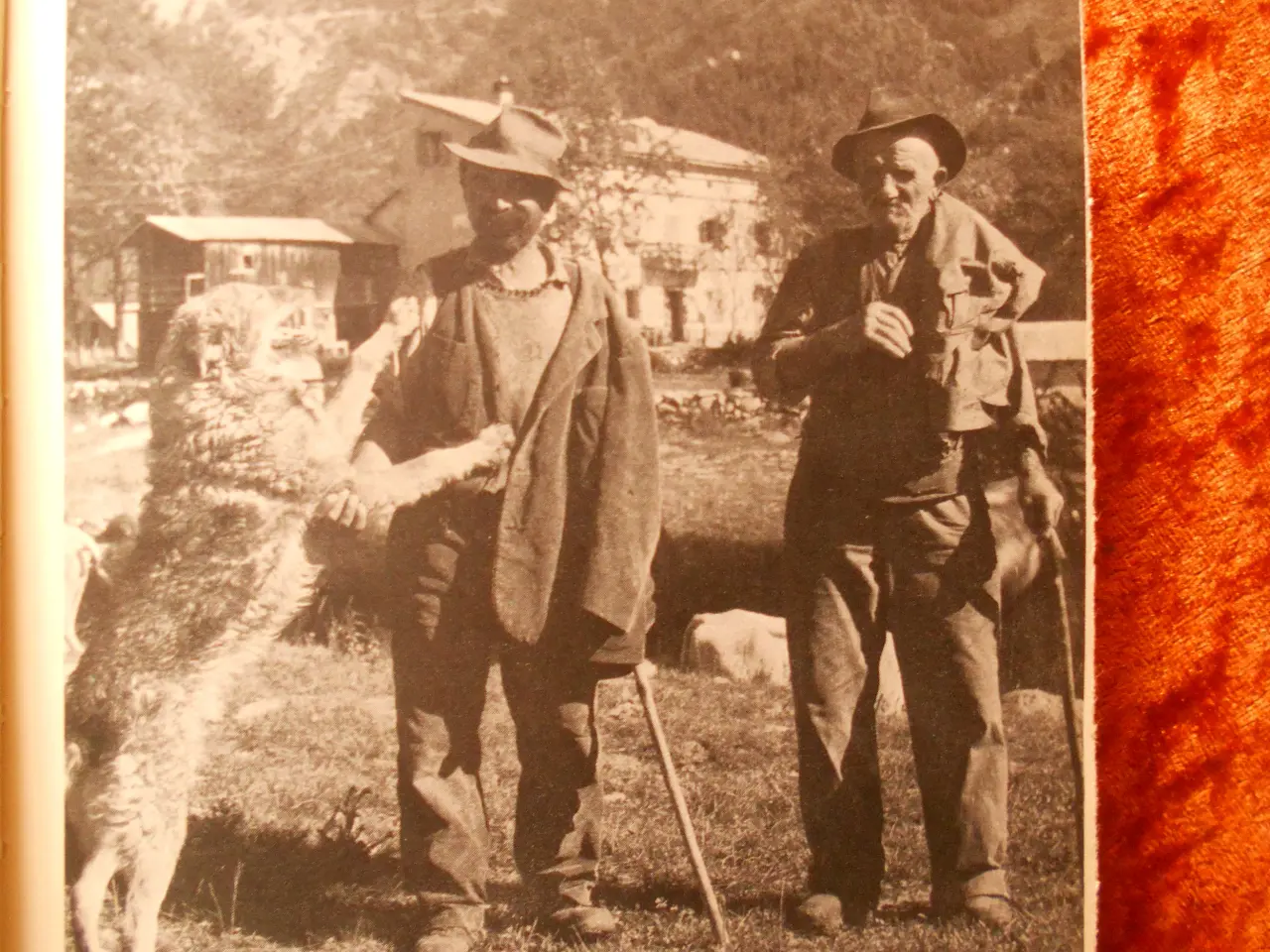 Billede 2 - Til guden på et helligt bjerg, Peter V. Glob,