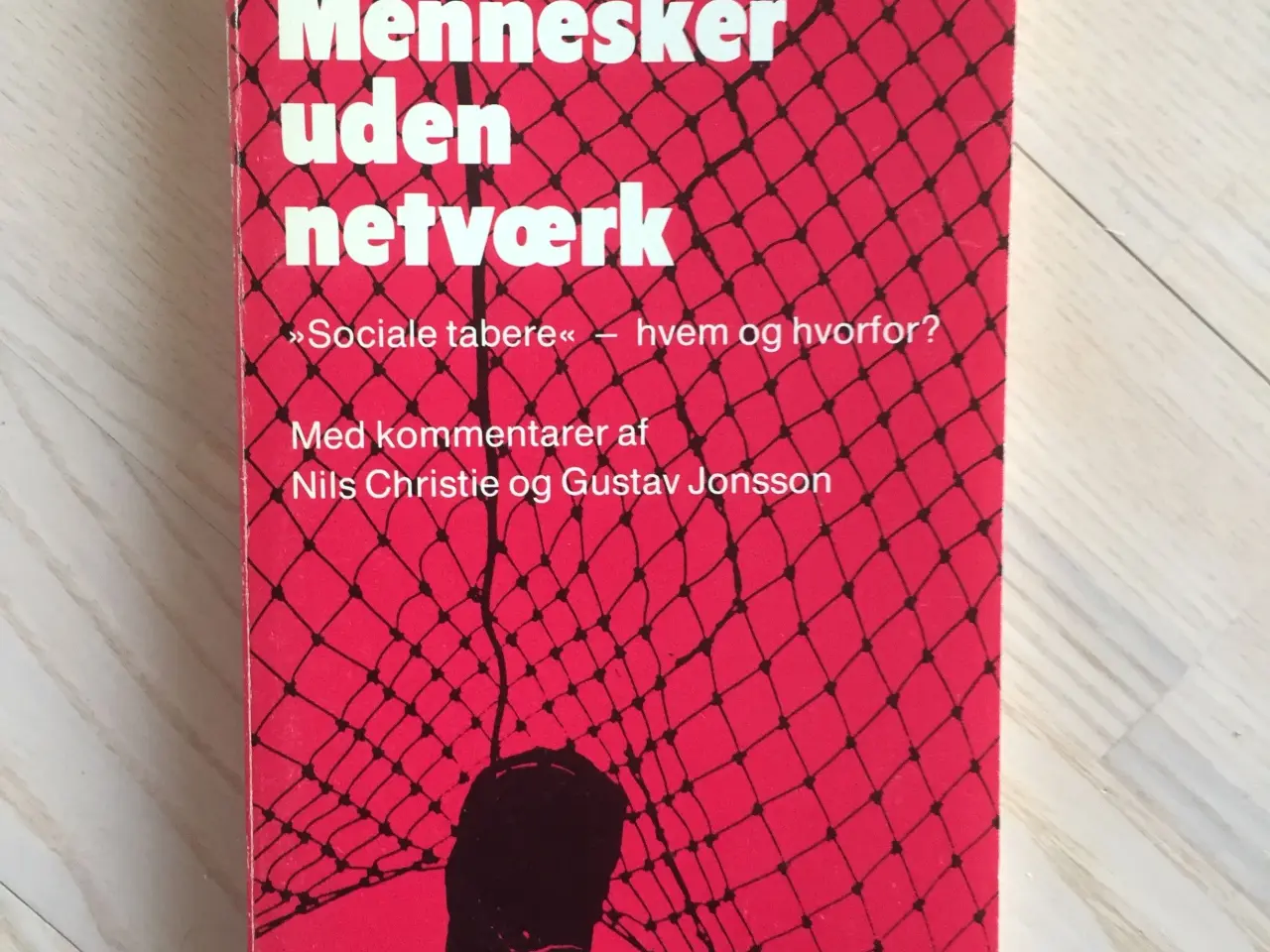 Billede 1 - Mennesker uden netværk