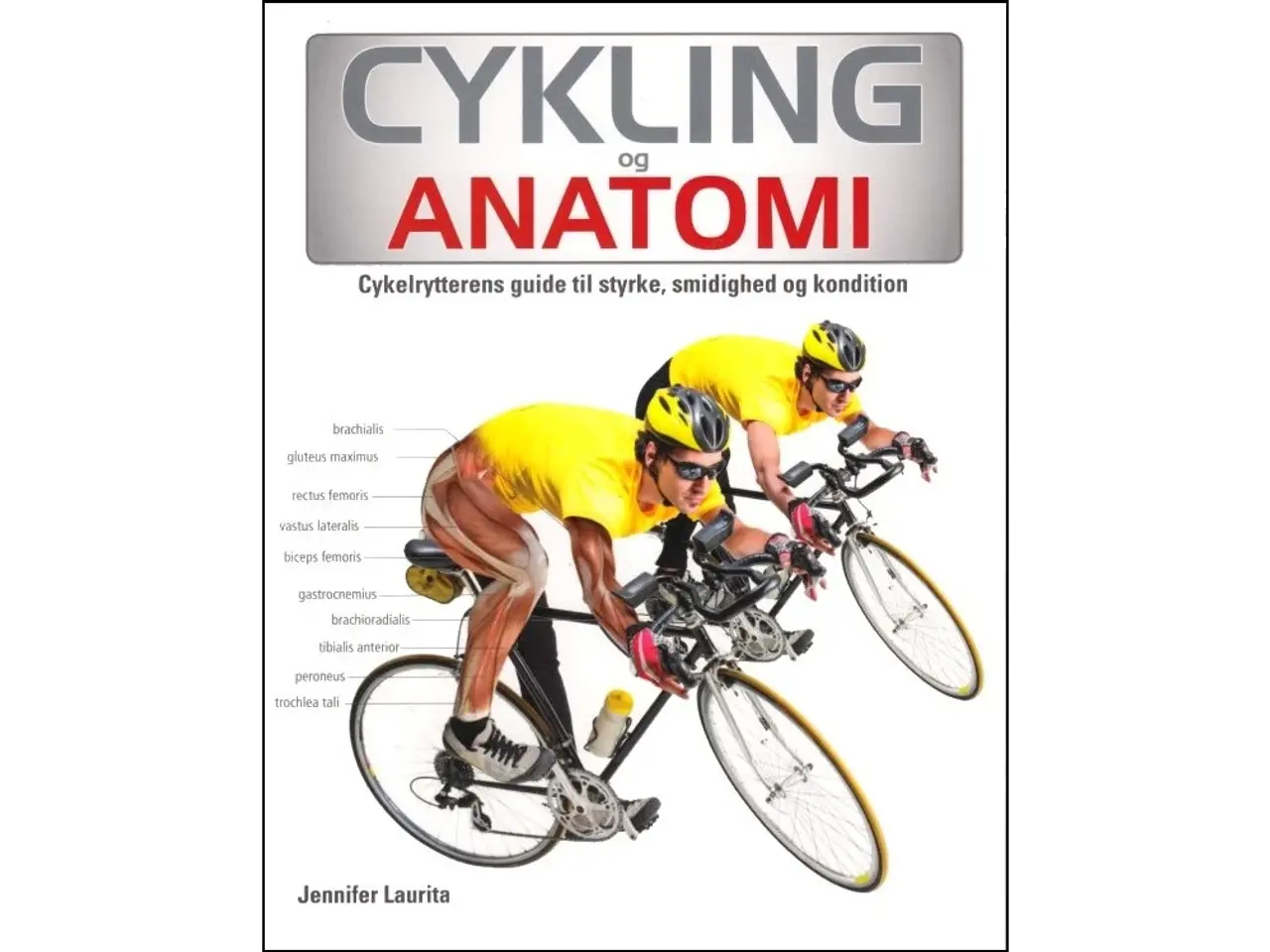 Billede 1 - Cykling og Anatomi