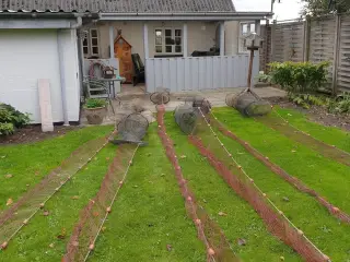 Åleruser 11 stk