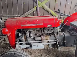 MF 35 traktor