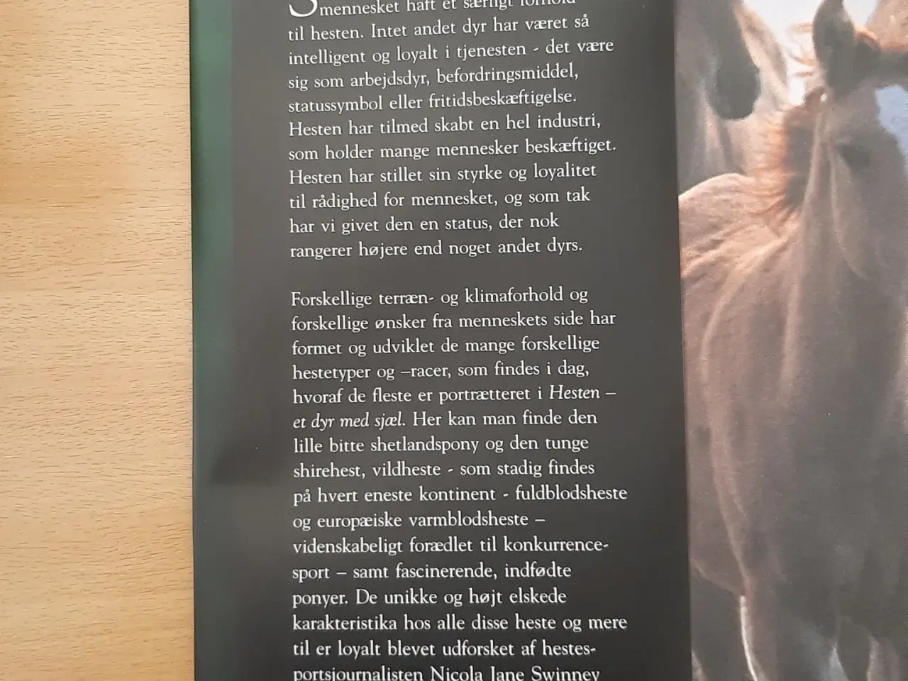 Billede 5 - Flotte Bøger om HESTE.
