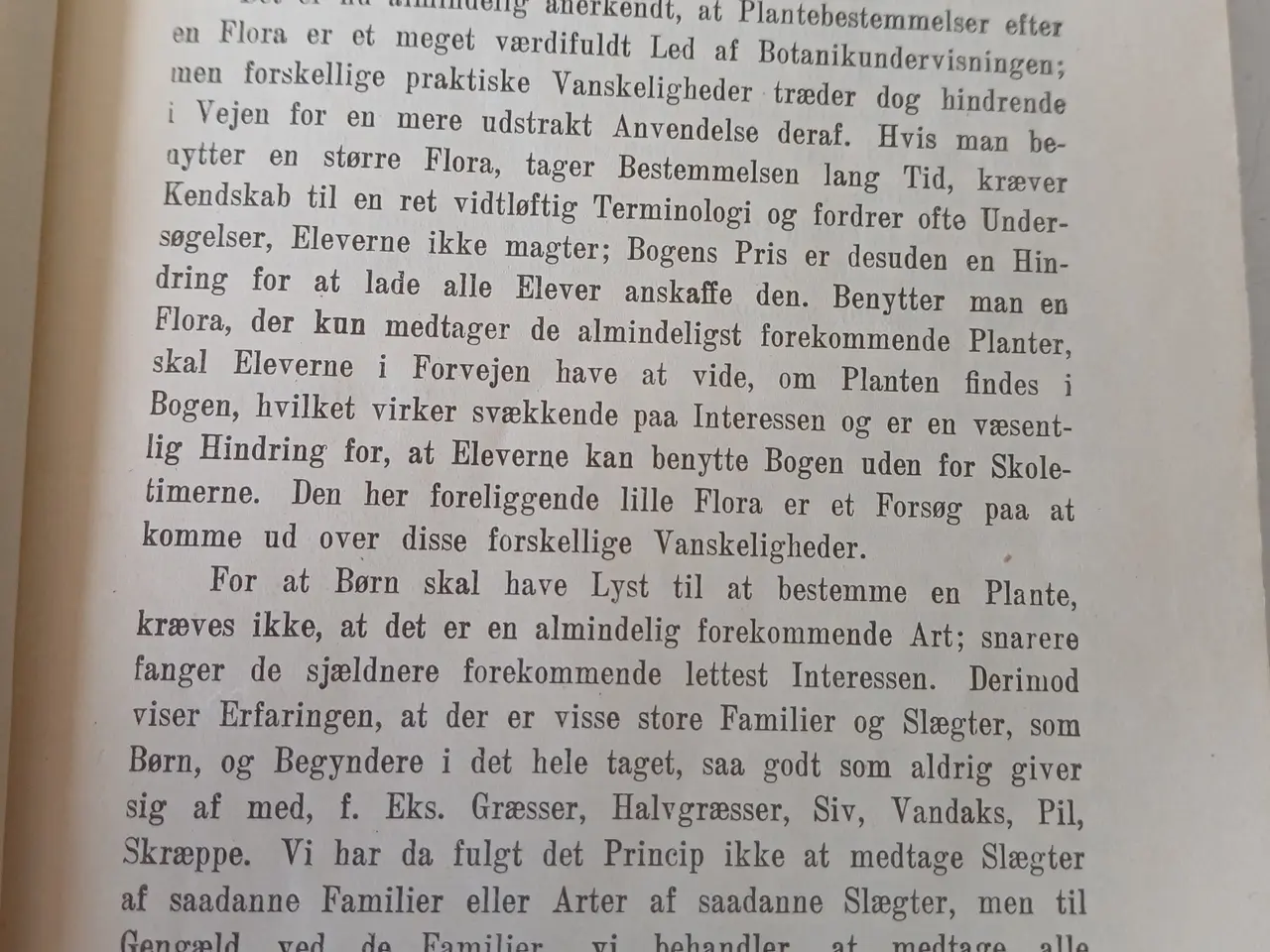 Billede 3 - Lille Flora af H. Rasmussen & K. Simonsen