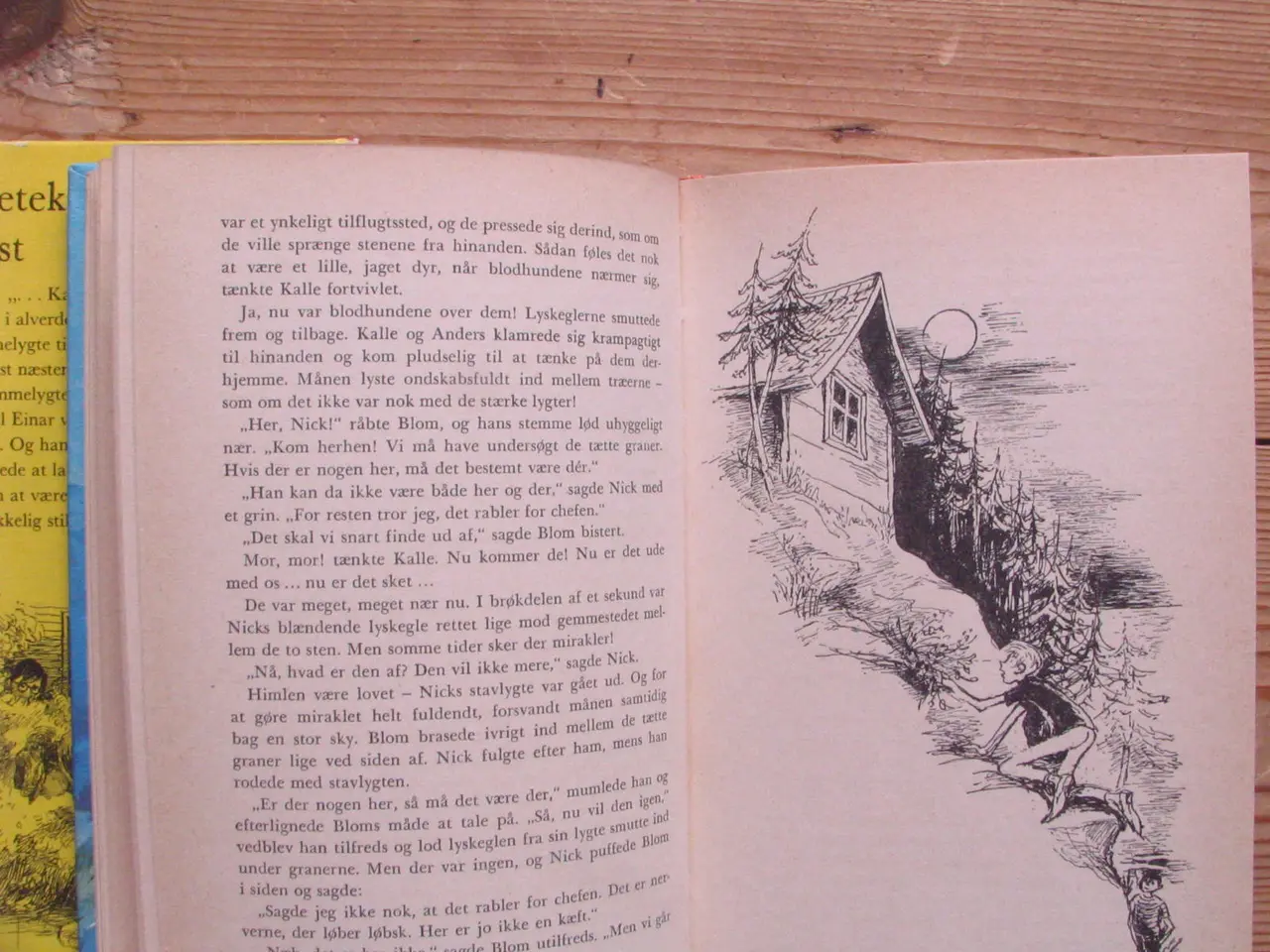 Billede 6 - Astrid Lindgren. Mesterdetektiven Blomkvist