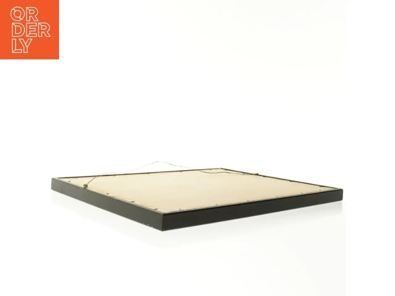 Billede 2 - Indrammet botanisk tryk (str. 40 x 30,5 cm)