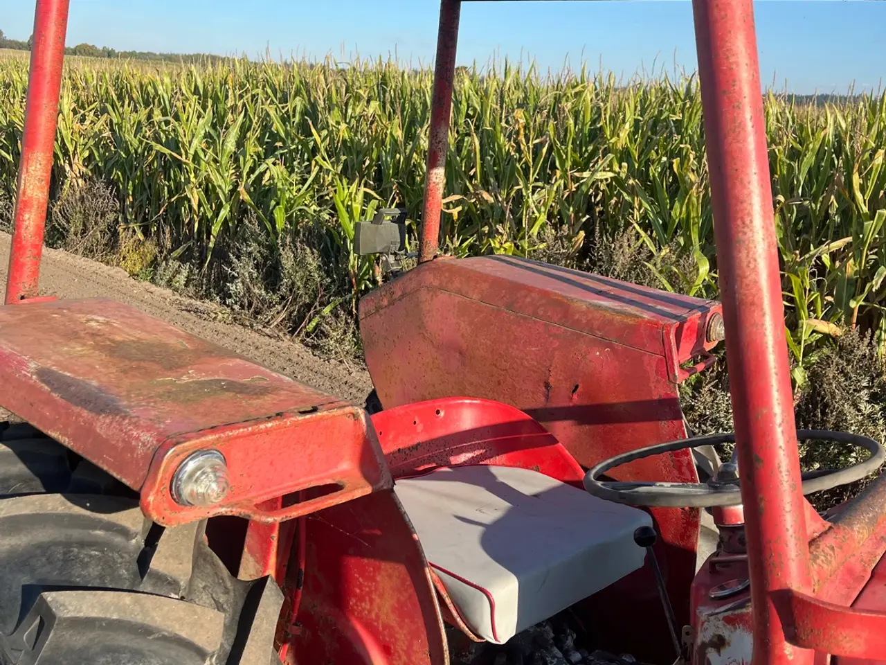 Billede 3 - Massey Ferguson 135 med ny motor