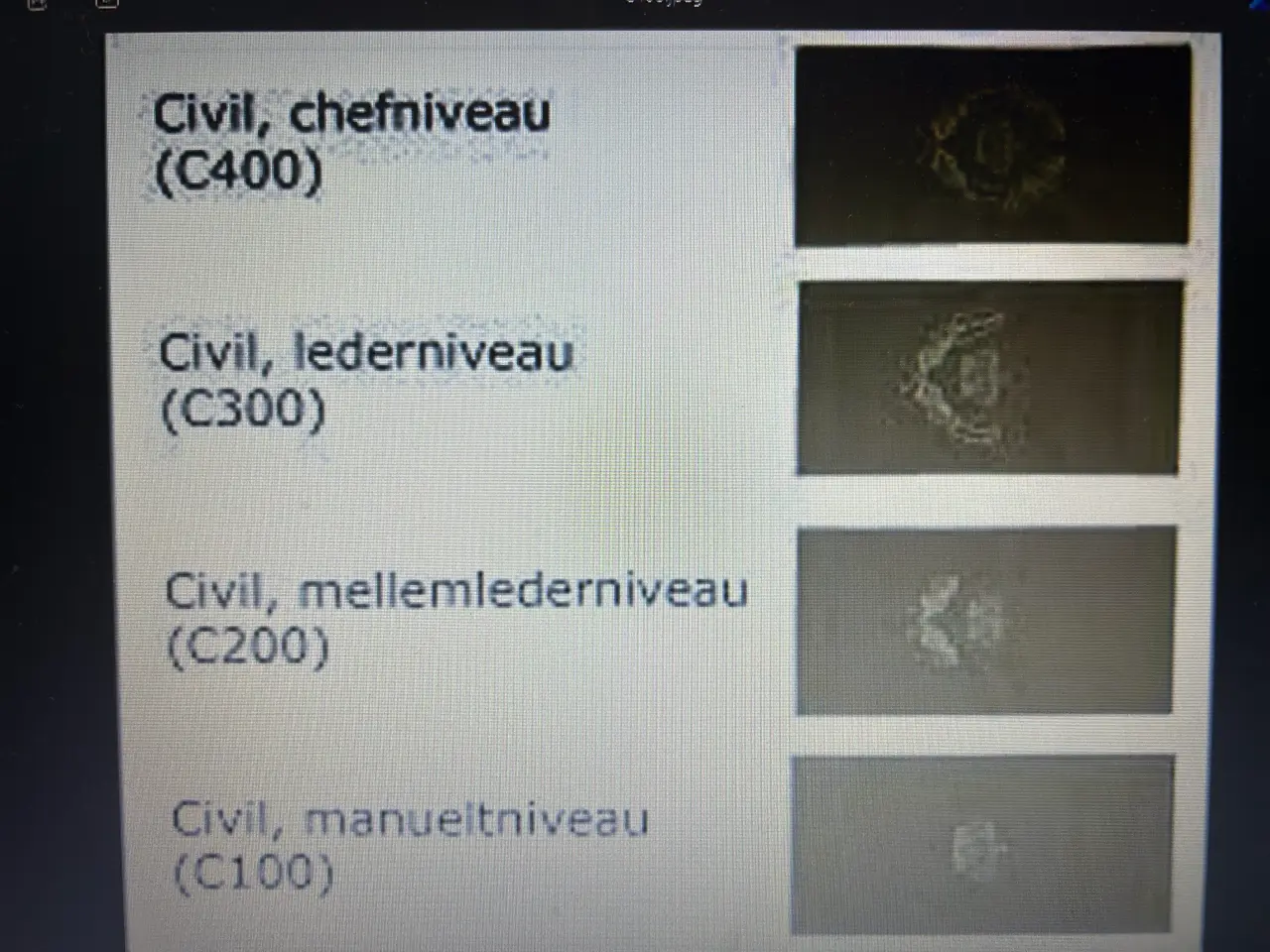 Billede 1 - Danske gradstegn C 400 C 300 C200 C100 søges.