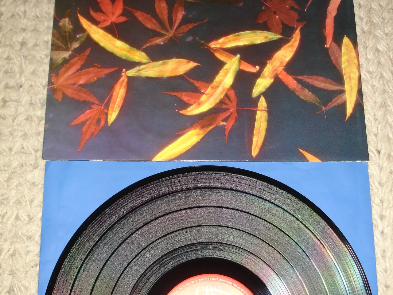 Billede 1 - (Sender gerne) C.V. Jørgensen – Indian Summer