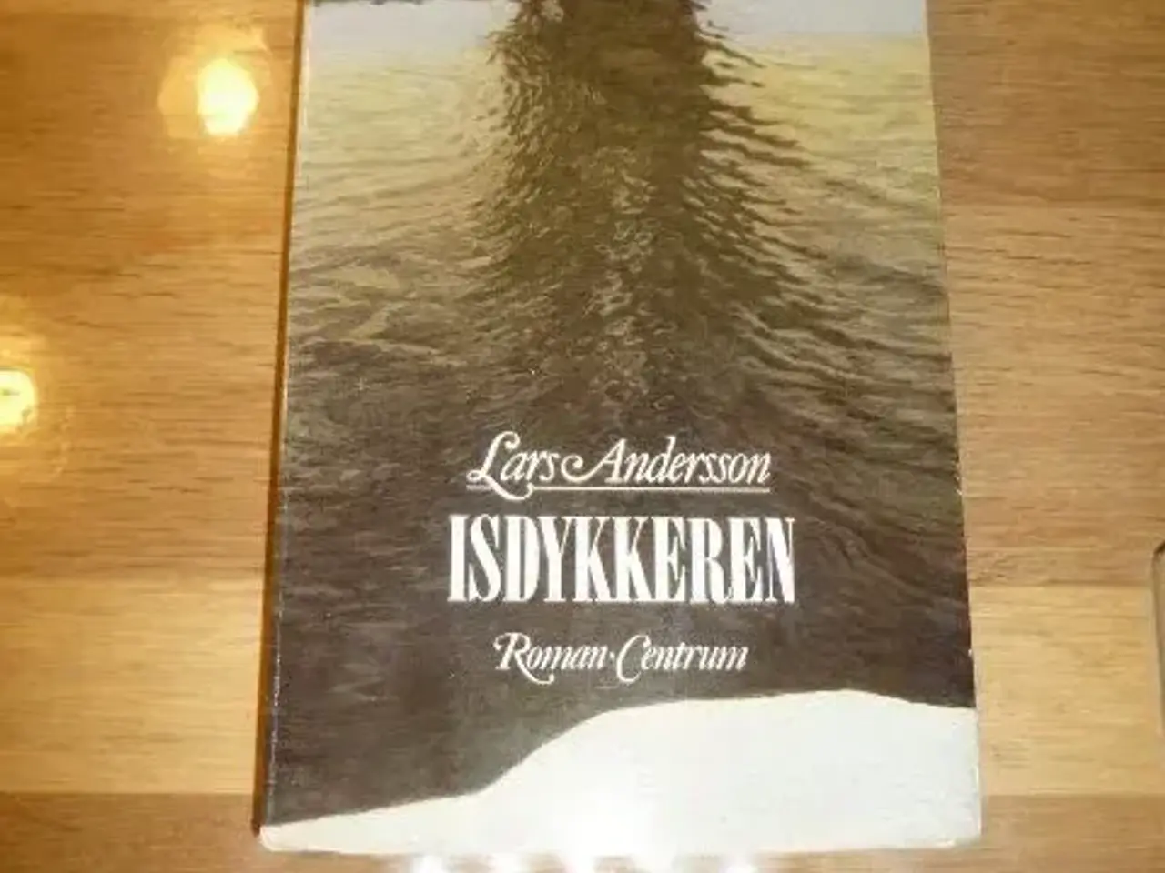 Billede 1 - Isdykkeren