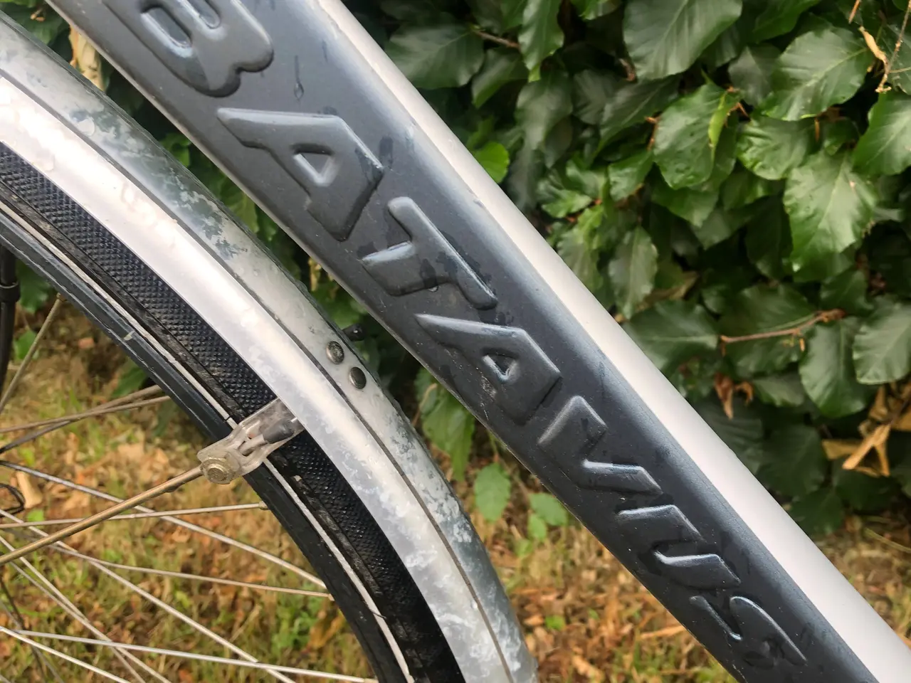 Billede 6 - 28 Batavus herrecykel med 7.gear