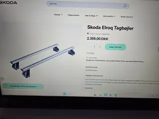 Tagbøjler til Skoda Elroq