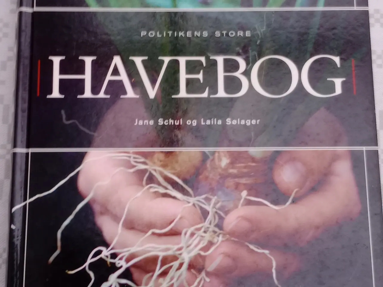 Billede 1 - POLITIKKENS STORE HAVEBOG