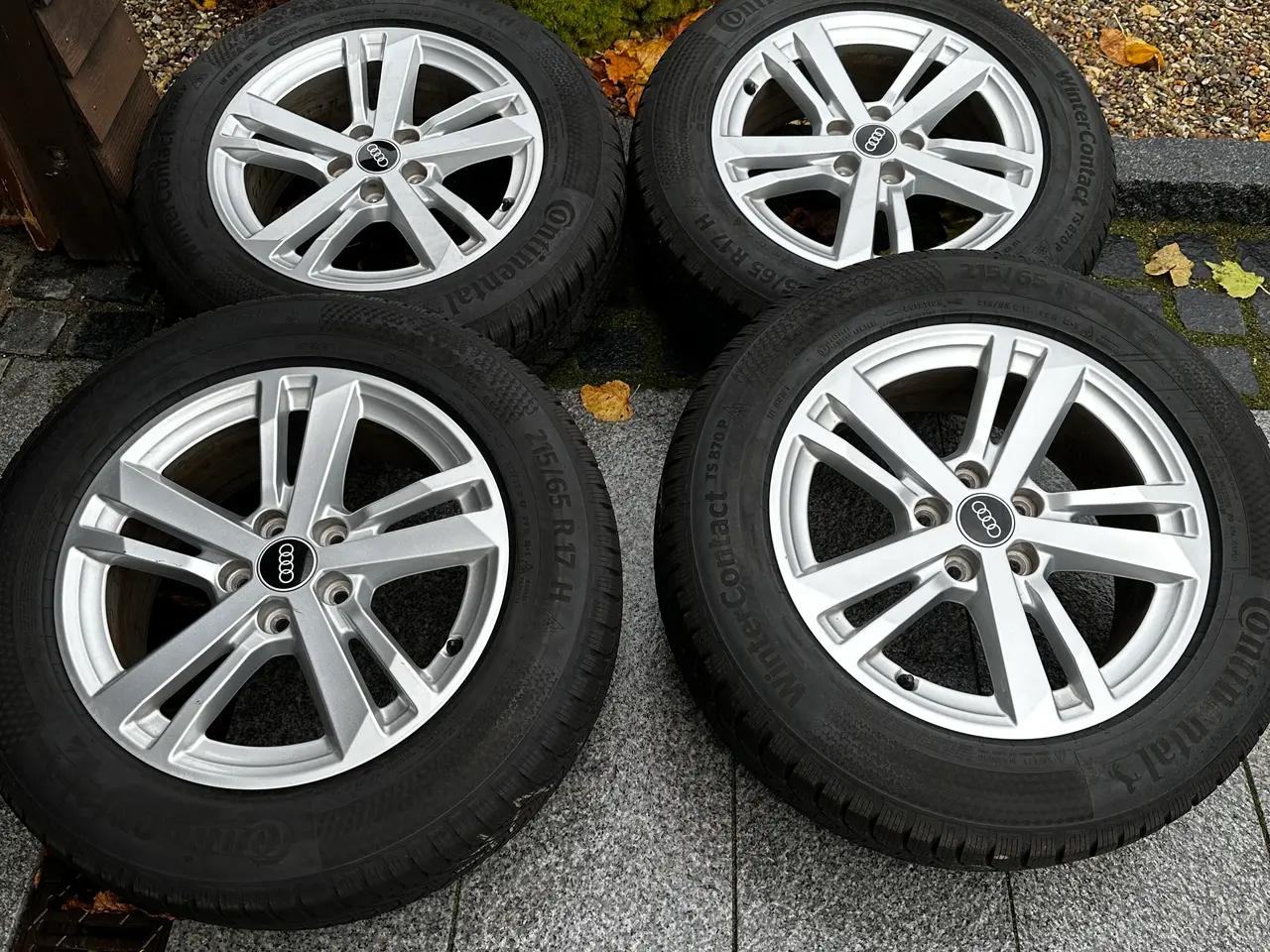 Billede 2 - Audi Q3 fælge med nye vinterdæk - Conti TS 870