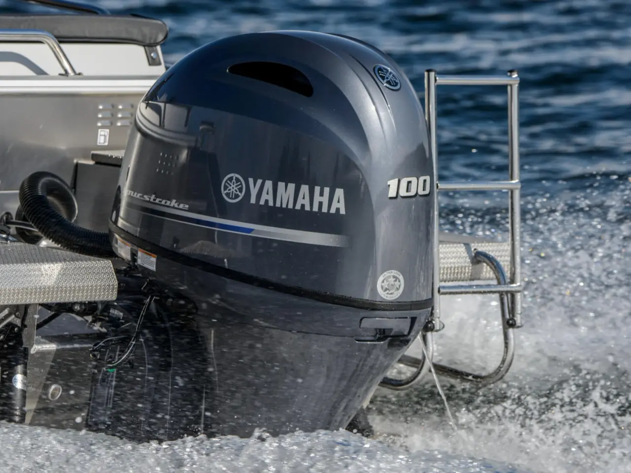 Billede 6 - Yamaha F100LB