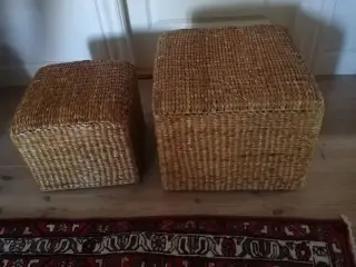 Søgræs skamler
