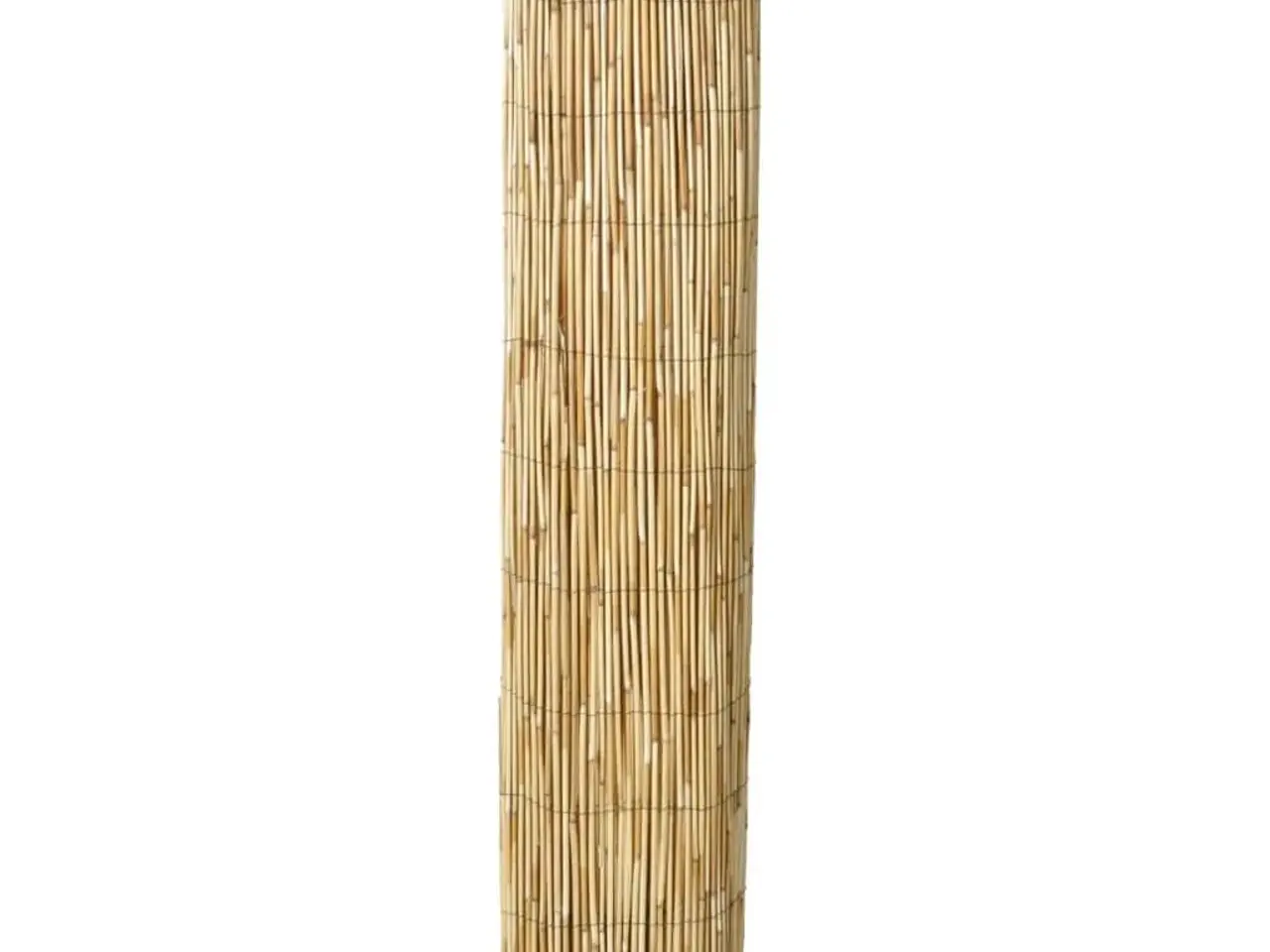 Billede 3 - Sivhegn til haven 500 x 100 cm - naturligt hegn på rulle